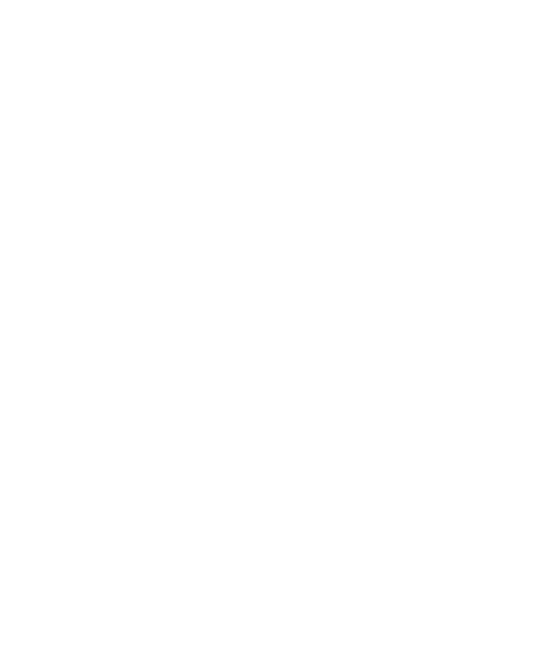 Allo Velo Program